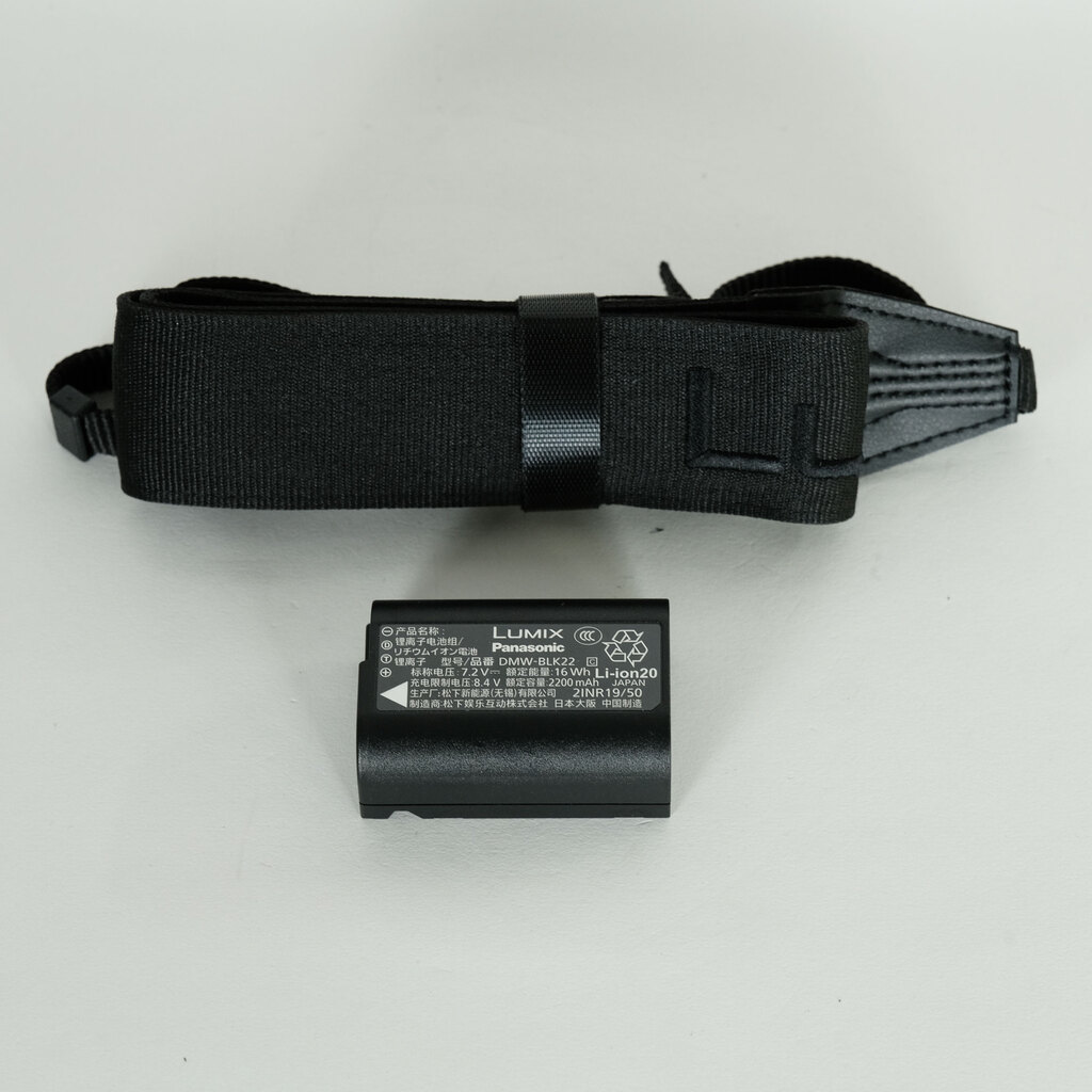 Panasonic LUMIX DC-S9