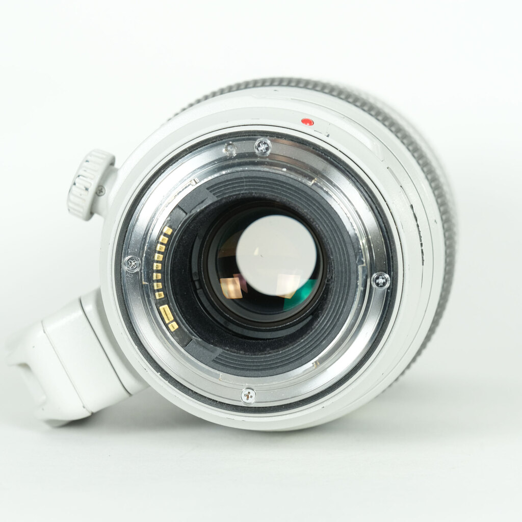 Canon EF100-400mm F4.5-5.6L IS II USM Canon EF100-400mm F4.5-5.6L IS II USM