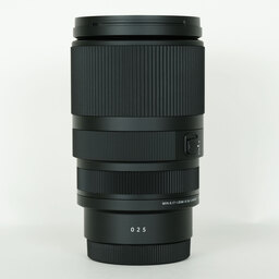 SIGMA 16-300mm F3.5-6.7 DC OS｜Contemporary [ソニーE用]