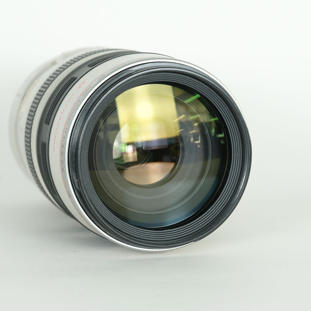Canon EF100-400mm F4.5-5.6L IS USM