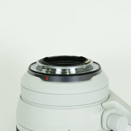 Canon RF100-500mm F4.5-7.1L IS USM Canon RF100-500mm F4.5-7.1L IS USM