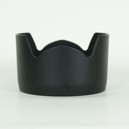 Nikon AF-S DX Zoom-Nikkor 17-55mm f/2.8G IF-ED