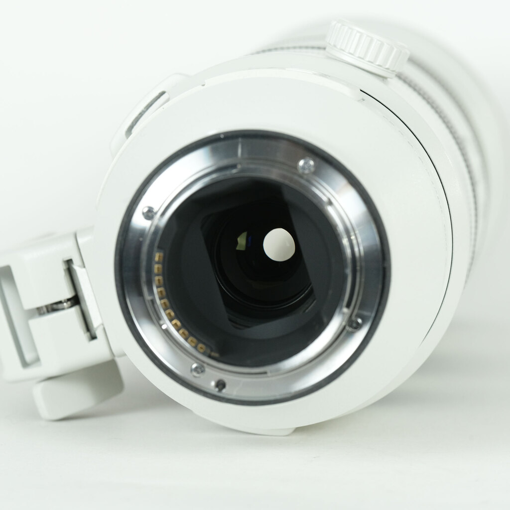 SONY FE 200-600mm F5.6-6.3 G OSS SEL200600G