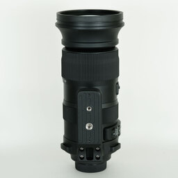 SIGMA 60-600mm F4.5-6.3 DG OS HSM｜Sports [ニコンF用]