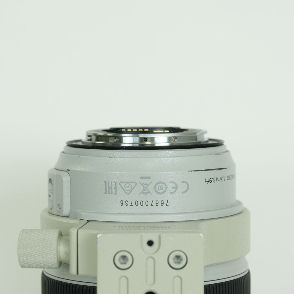 Canon EF70-300mm F4-5.6L IS USM