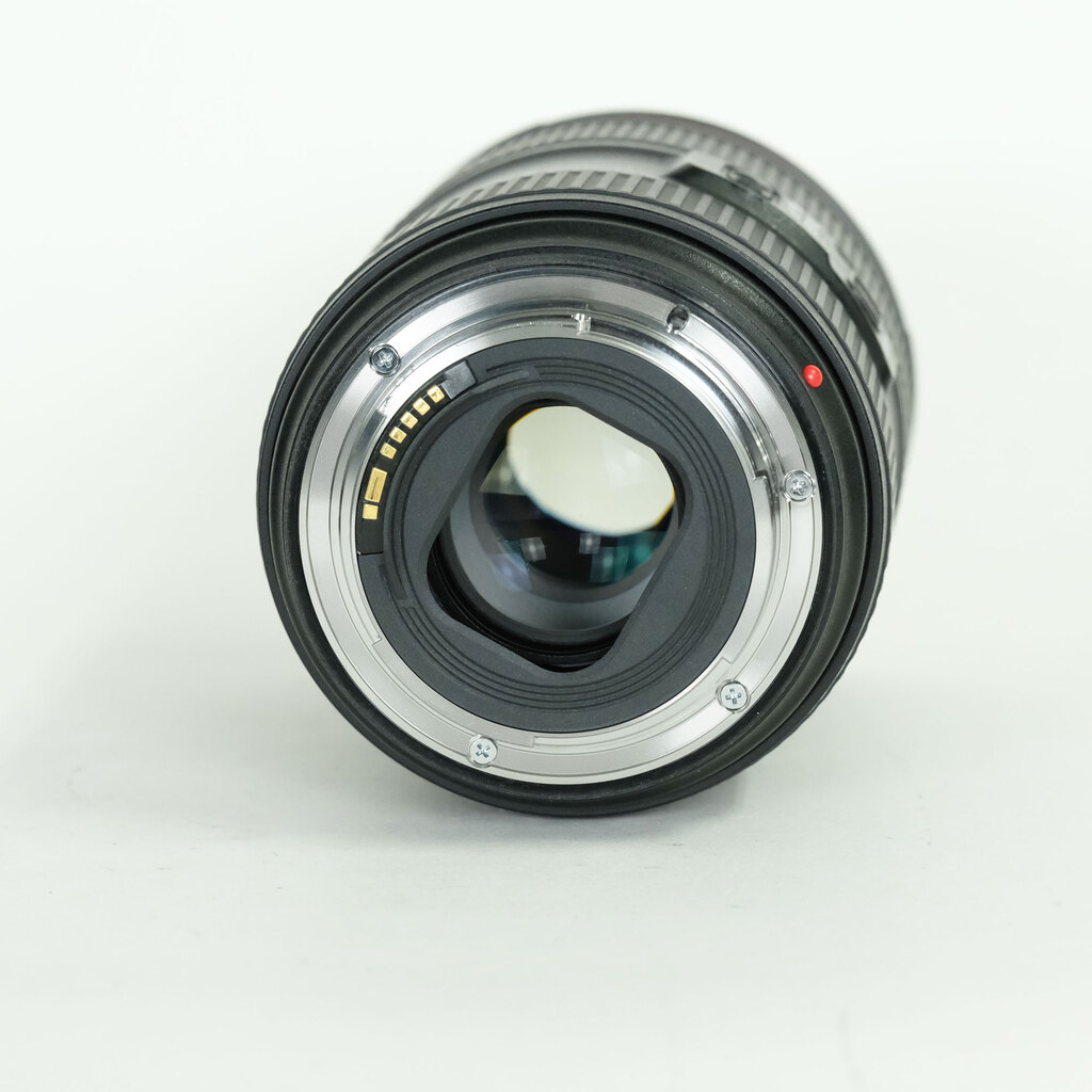 Canon EF24-105mm F4L IS II USM