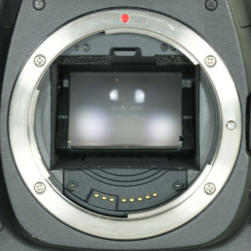 Canon EOS 5D MarkII ボディ