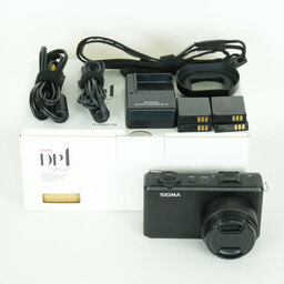 SIGMA DP1 Merrill