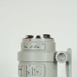 Canon 300mm F4L IS USM