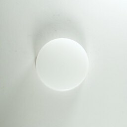 Nikon NIKKOR Z DX 50-250mm f/4.5-6.3 VR