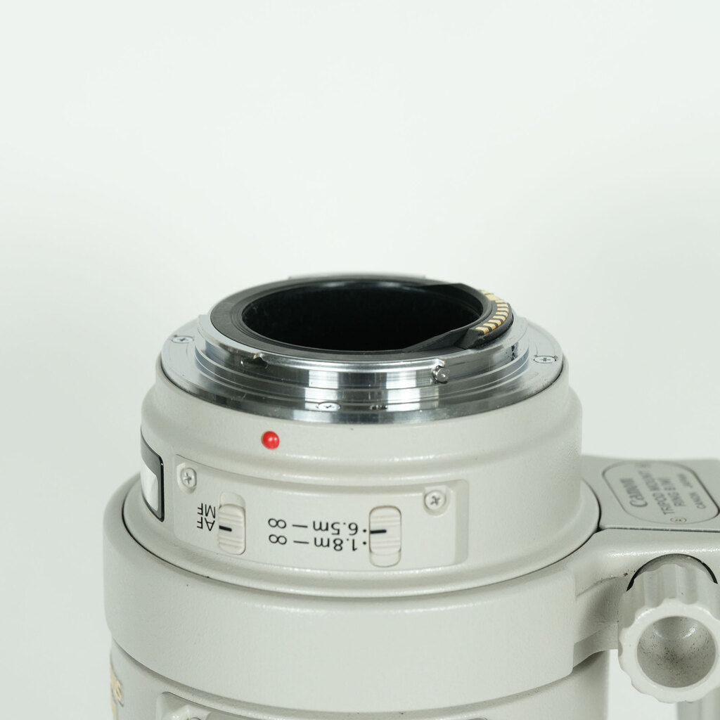 Canon EF100-400mm F4.5-5.6L IS USM