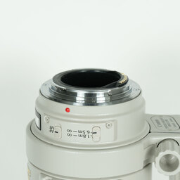 Canon EF100-400mm F4.5-5.6L IS USM