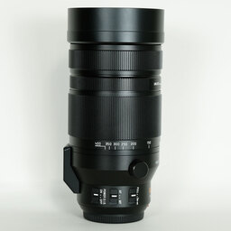 Panasonic LEICA DG VARIO-ELMAR 100-400mm / F4.0-6.3 II ASPH. / POWER O.I.S.