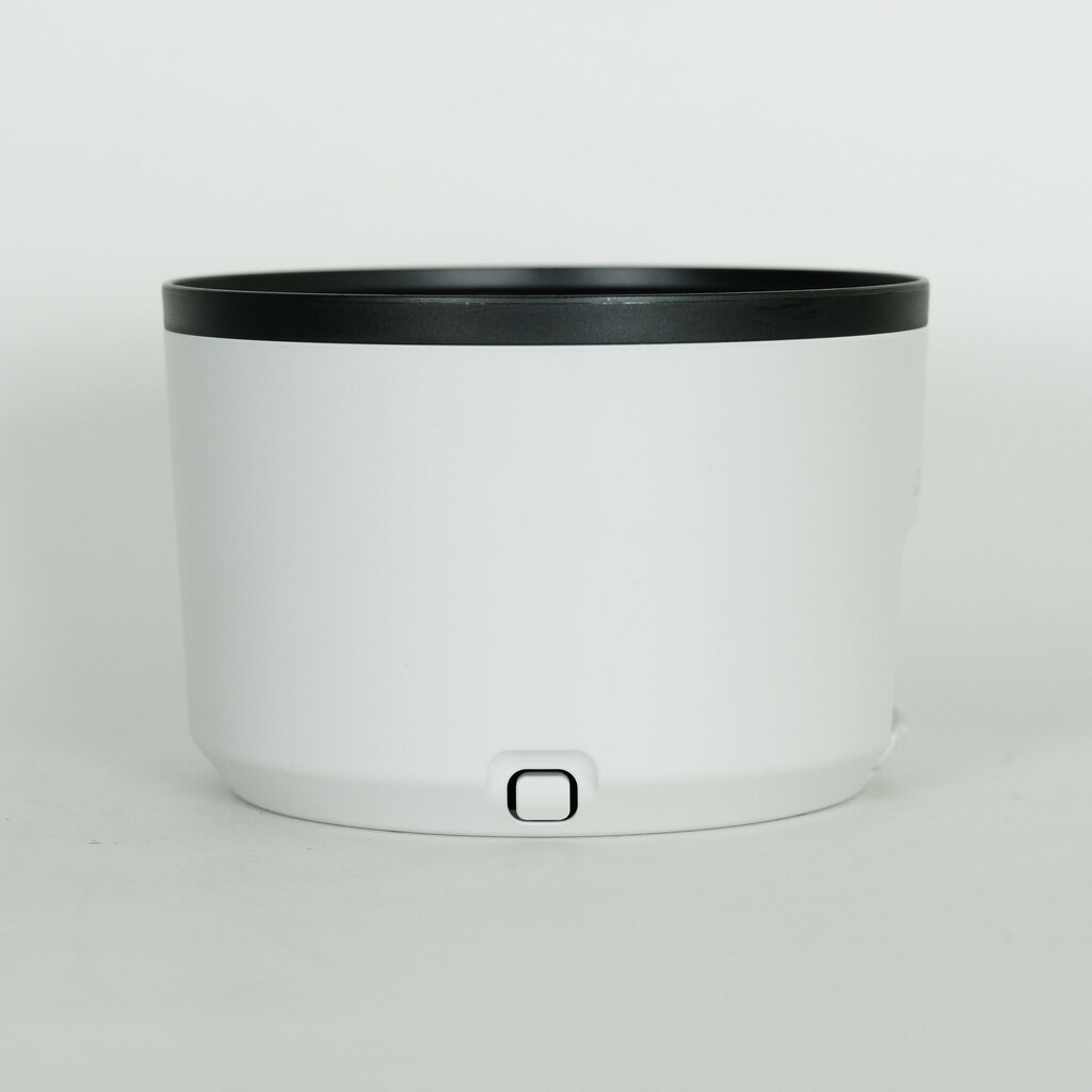 Canon RF100-500mm F4.5-7.1L IS USM