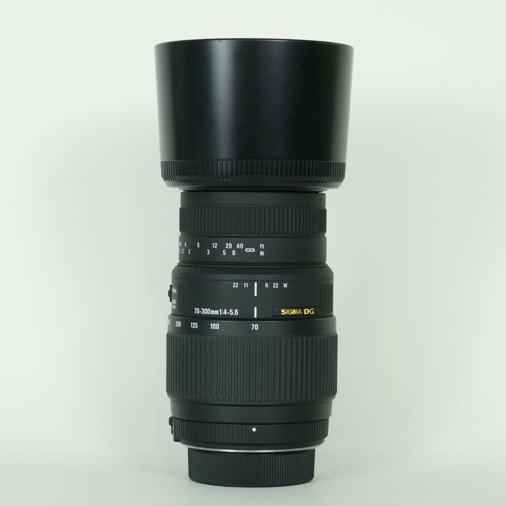 SIGMA 70-300mm F4-5.6 DG OS [�j�R��F�p]