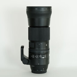 SIGMA 150-600mm F5-6.3 DG OS HSM | Contemporary [キヤノンEF用]