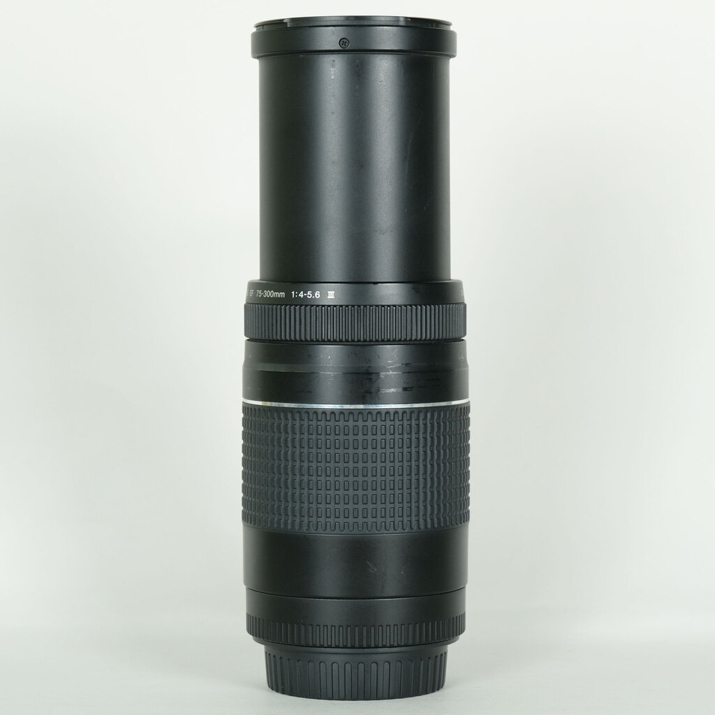 Canon EF75-300mm F4-5.6 IIIの出品 | ONE SCENE（ワンシーン）