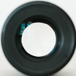 Canon EF100mm F2.8Lマクロ IS USM