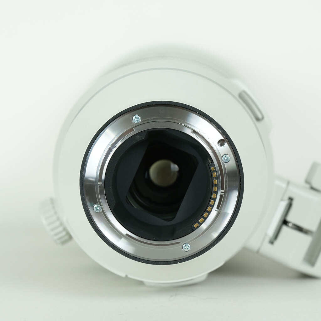 SONY FE 200-600mm F5.6-6.3 G OSS SEL200600G