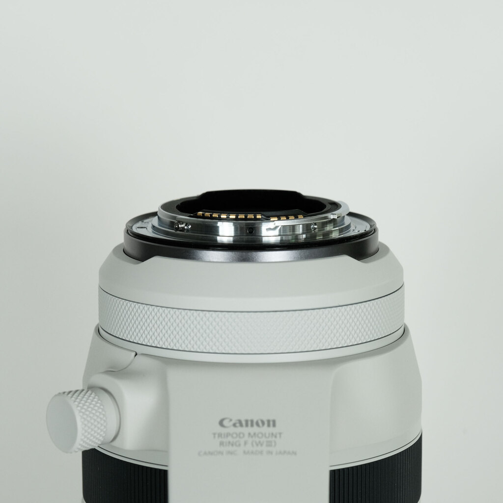 Canon RF100-500mm F4.5-7.1L IS USM