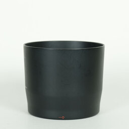 Canon EF70-300mm F4-5.6 IS II USM