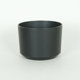 SONY E 55-210mm F4.5-6.3 OSS SEL55210