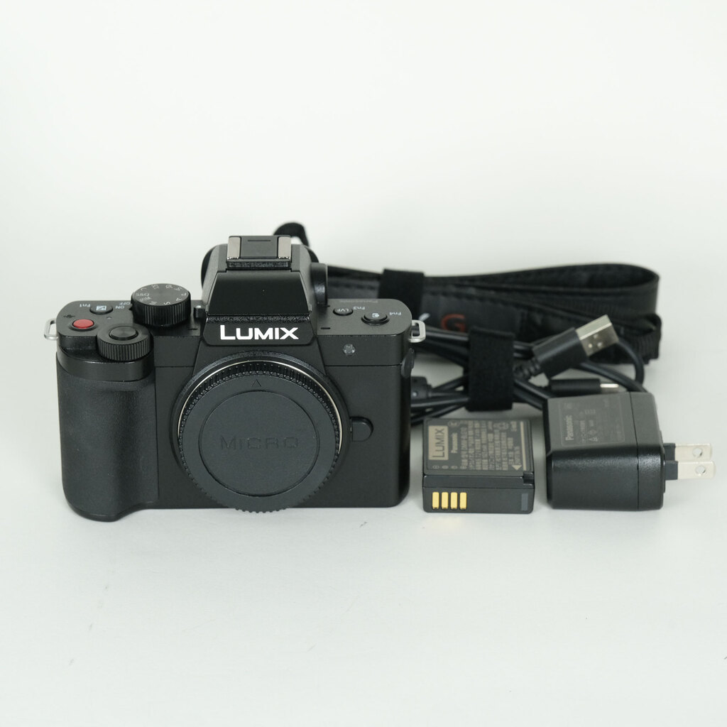 Panasonic LUMIX DC-G100D �{�f�B