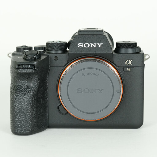 SONY α9（ILCE-9）ジャンク品　水没品 SONY α9 II（ILCE-9M2）を徹底解説。愛用者のレビュー・作例付き | ONE