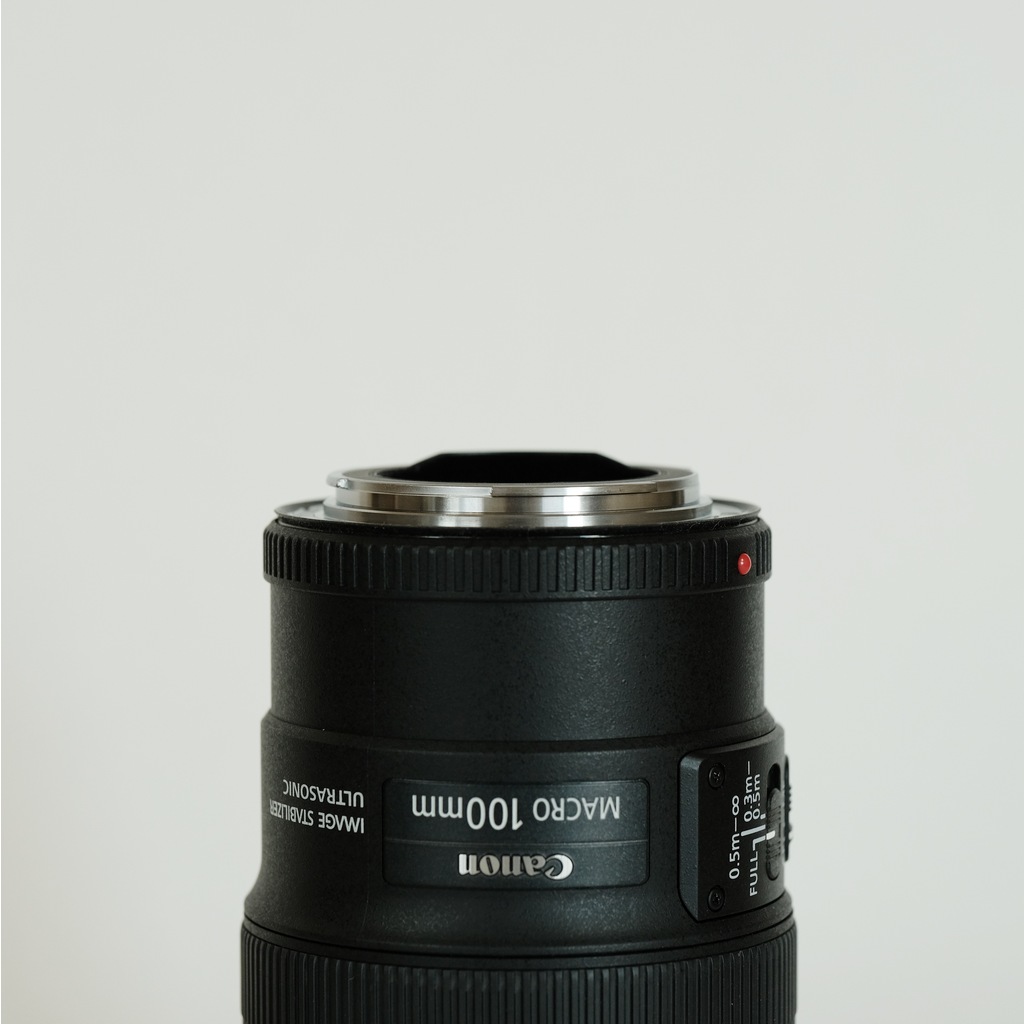 Canon EF100mm F2.8Lマクロ IS USM