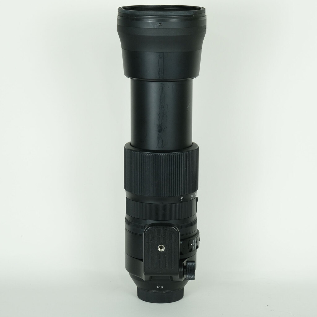 SIGMA 150-600mm F5-6.3 DG OS HSM｜Contemporary [ニコンF用]