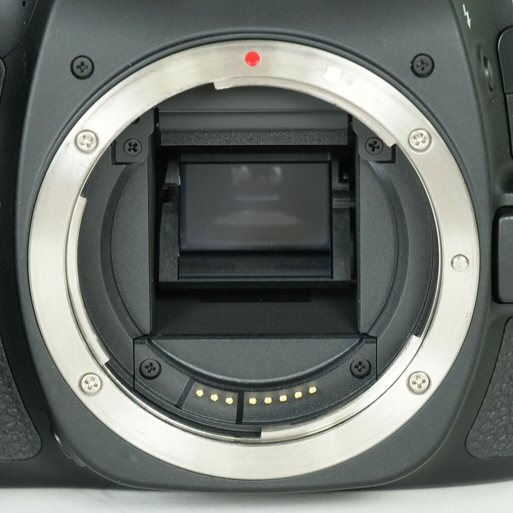 Canon EOS 80D
