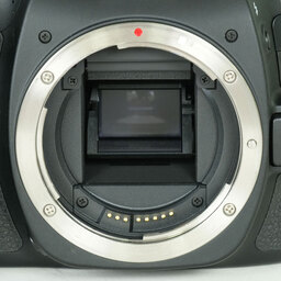 Canon EOS 80D