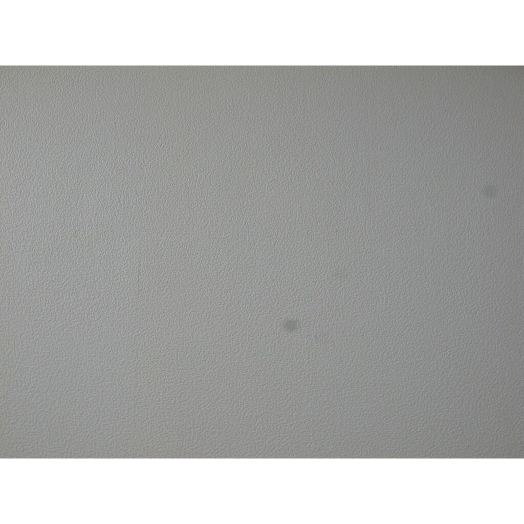 RICOH GR DIGITAL III