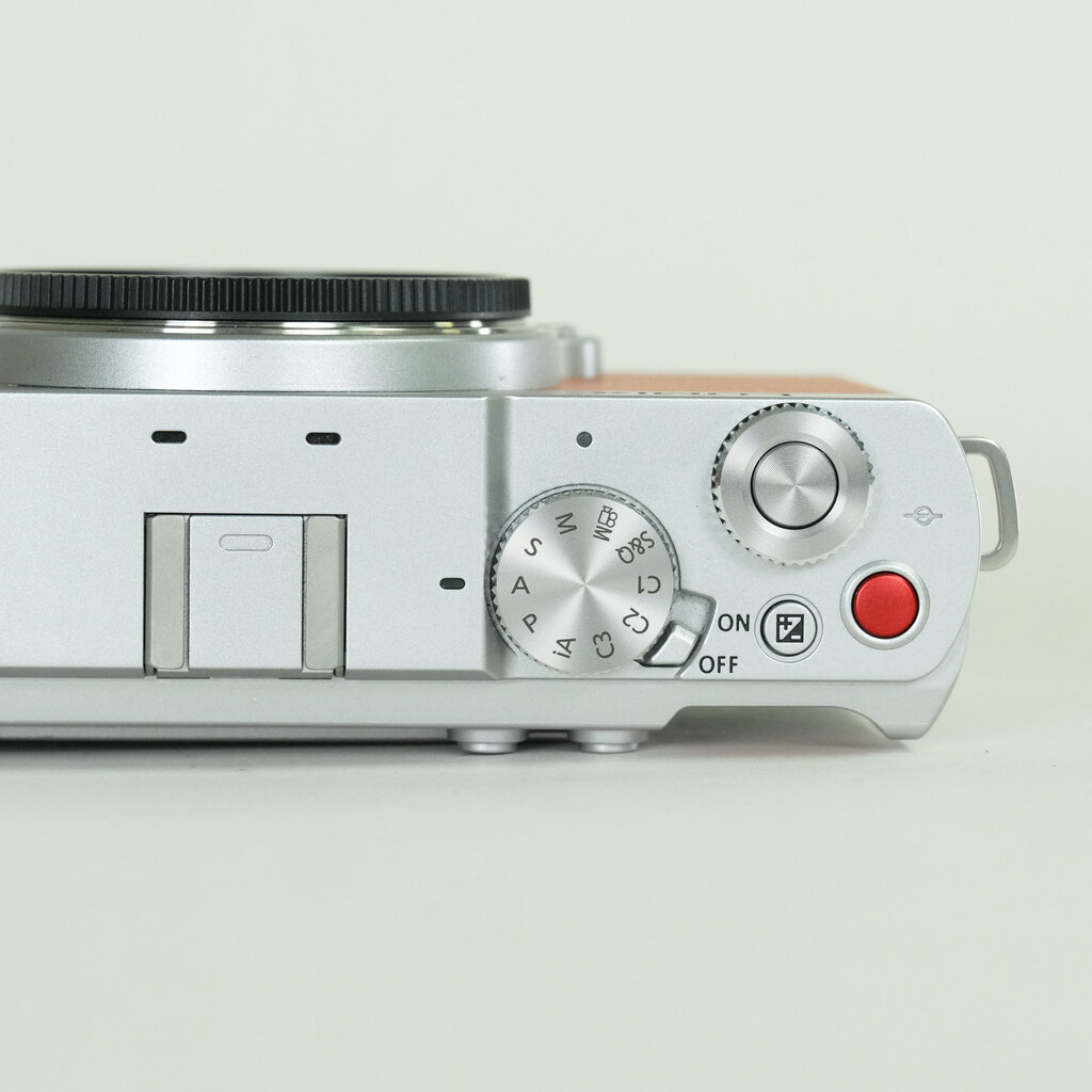 Panasonic LUMIX DC-S9 Panasonic LUMIX DC-S9