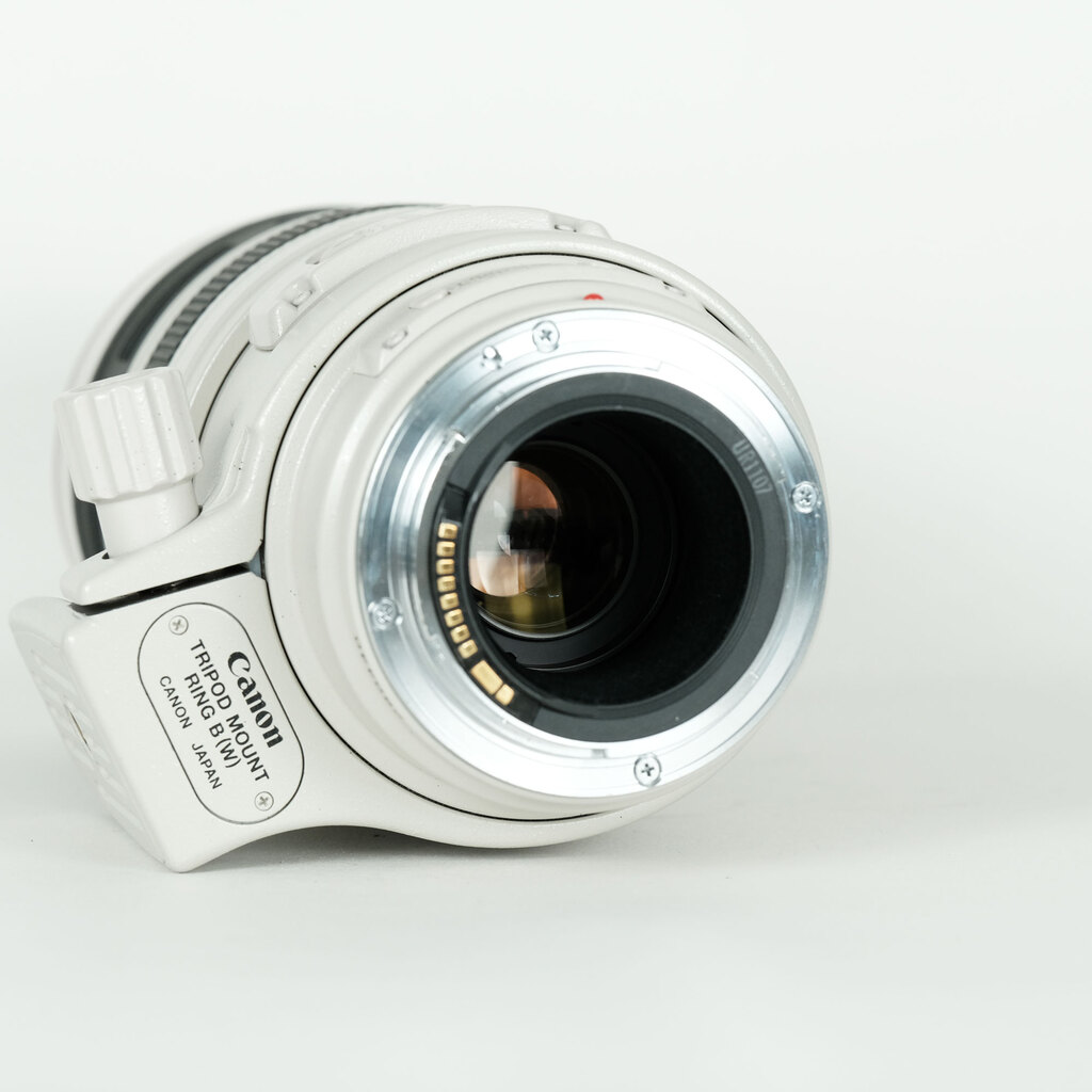 Canon EF100-400mm F4.5-5.6L IS USM