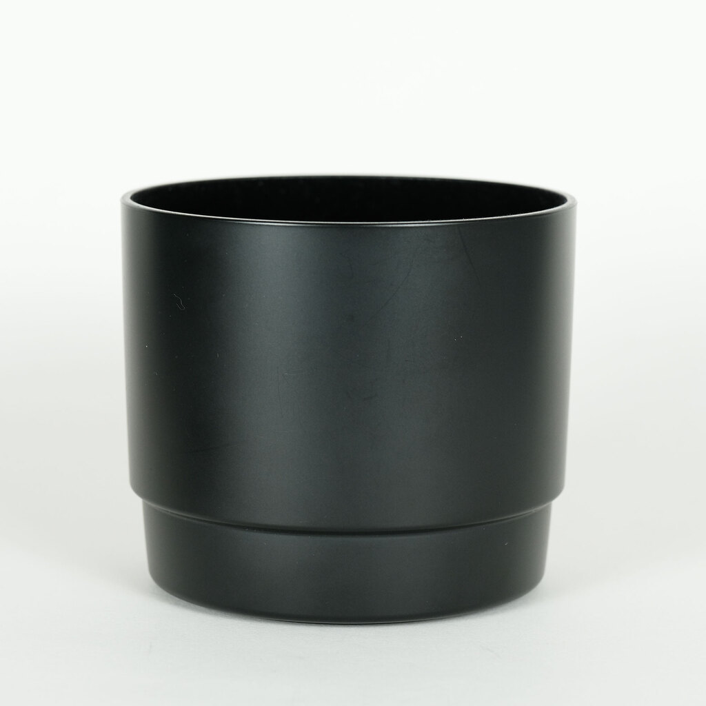 Canon EF100mm F2.8 マクロ USM