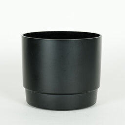 Canon EF100mm F2.8 マクロ USM