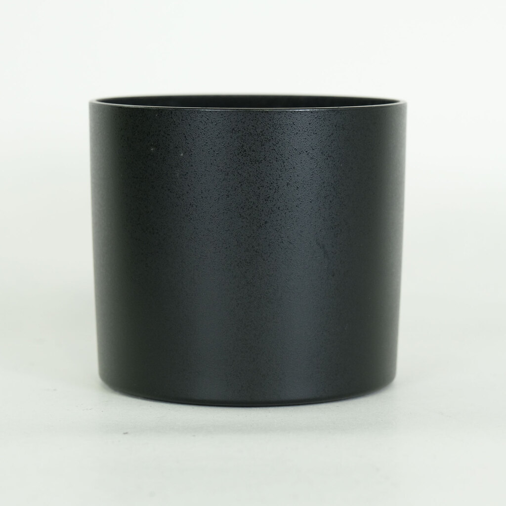 Canon EF100mm F2.8Lマクロ IS USM