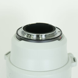 Canon RF200-800mm F6.3-9 IS USM Canon RF200-800mm F6.3-9 IS USM