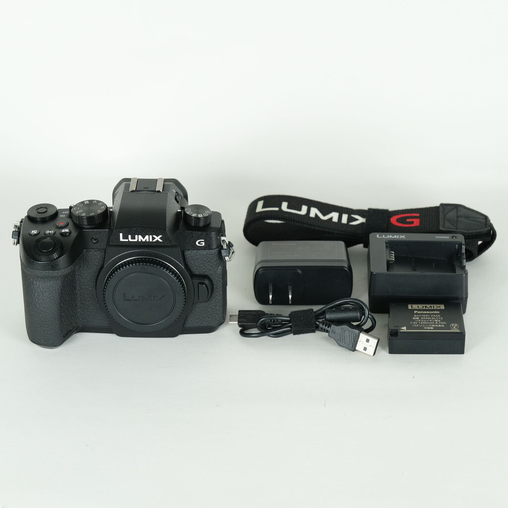 Panasonic LUMIX DC-G99の出品 | ONE SCENE（ワンシーン）