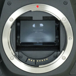 Canon EOS 5D Mark III