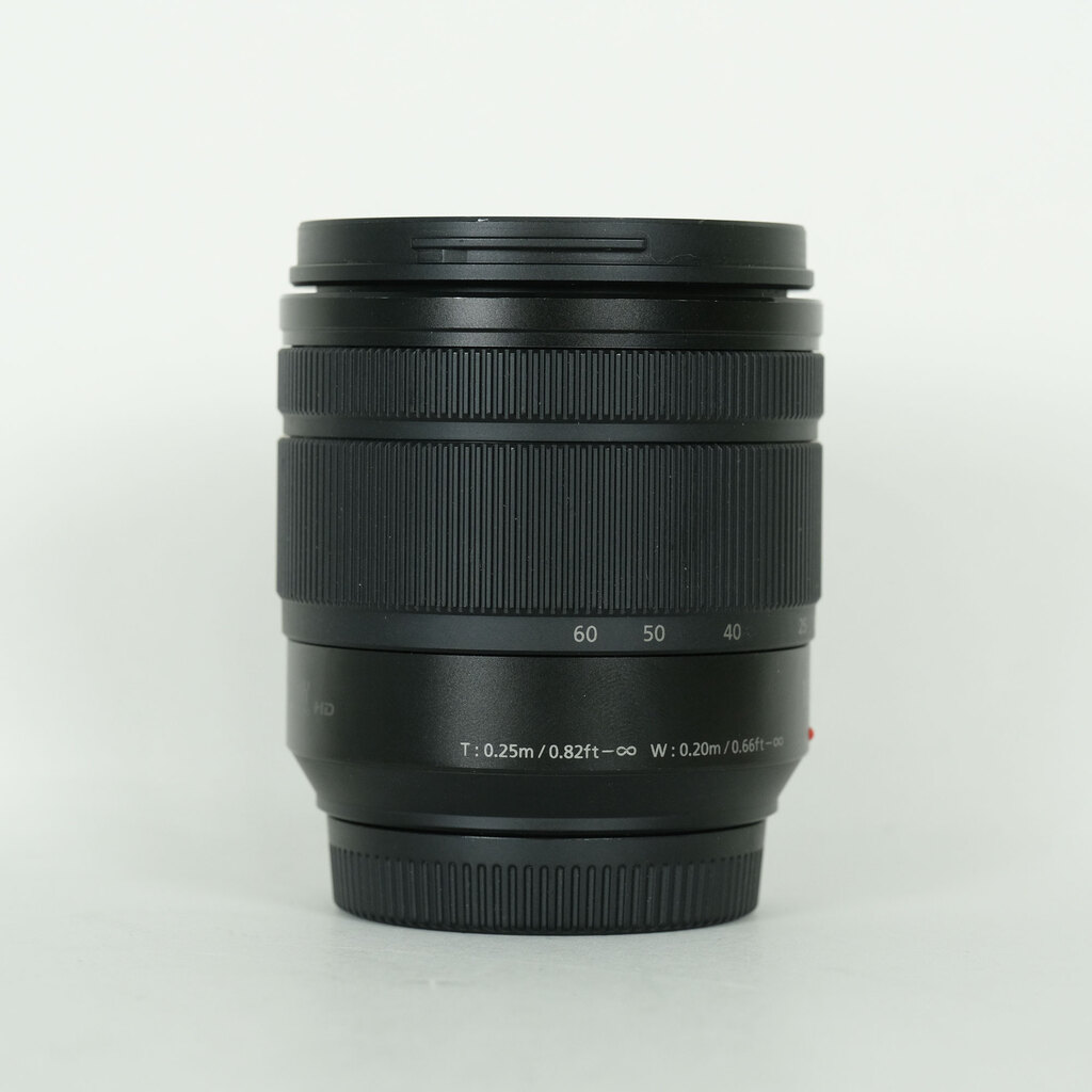 Panasonic LUMIX G VARIO 12-60mm / F3.5-5.6 ASPH. / POWER O.I.S.の