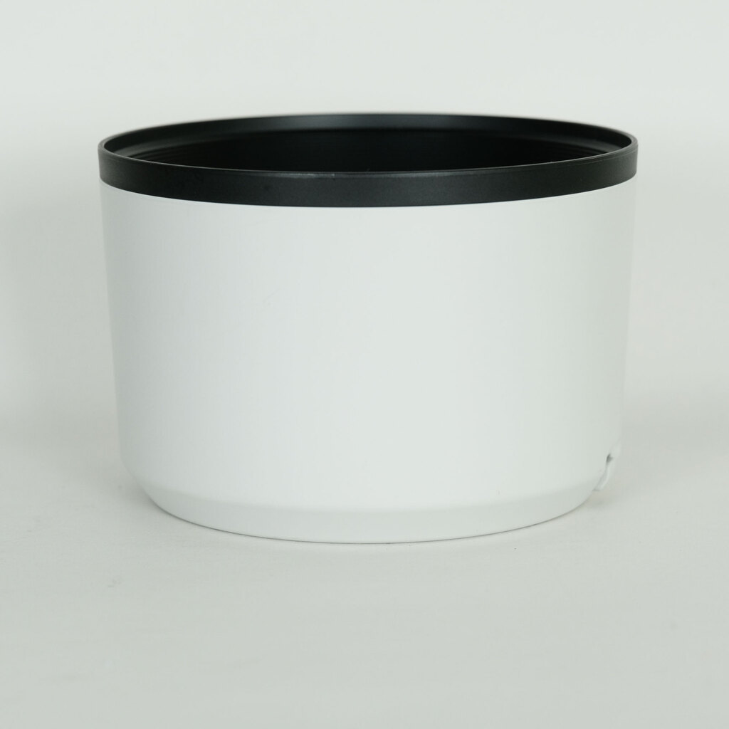 Canon RF100-500mm F4.5-7.1L IS USM