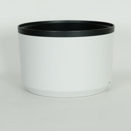 Canon RF100-500mm F4.5-7.1L IS USM