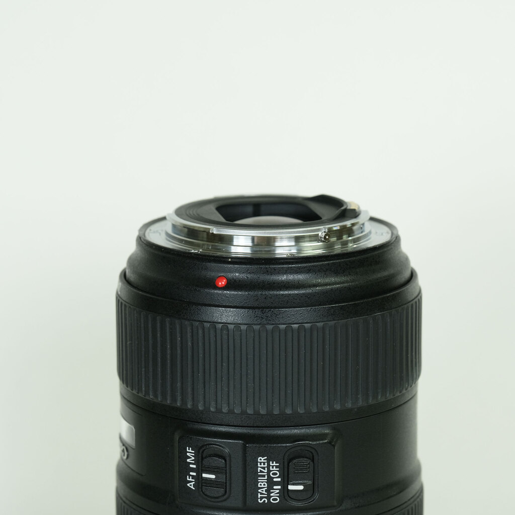 Canon EF24-105mm F4L IS II USM