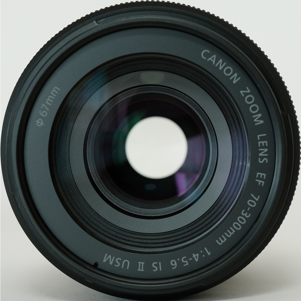 Canon EF70-300mm F4-5.6 IS II USM