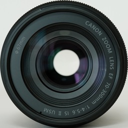 Canon EF70-300mm F4-5.6 IS II USM