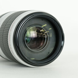 Canon EF100-400mm F4.5-5.6L IS II USM