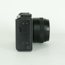 SIGMA DP1 Merrill