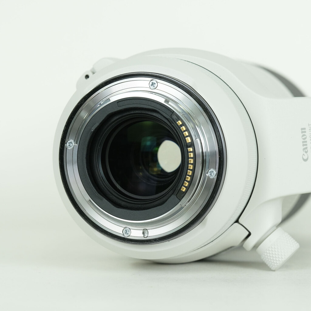 Canon RF100-500mm F4.5-7.1L IS USM